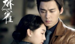 最新播出的电视剧,穿越时空的青春恋曲