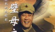 电视剧戈壁母亲,坚韧与爱的史诗
