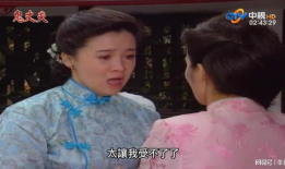 梅花 电视剧,风华绝代，谱写乱世佳人传奇