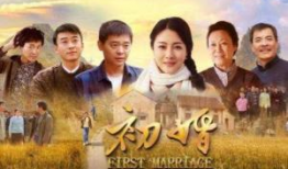 电视剧初婚演员表,实力派演员阵容演绎情感纠葛与成长历程