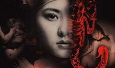 电视剧红蝎子,潜伏与救赎的谍战传奇